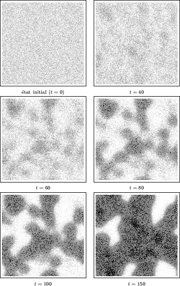 \begin{figure}
\centerline {
\begin{tabular}{cc}
\fbox{\epsfxsize=4.5cm \epsfbox...
...}\\
{\scriptsize $t=100$} & {\scriptsize $t=150$}\\
\end{tabular}}\end{figure}