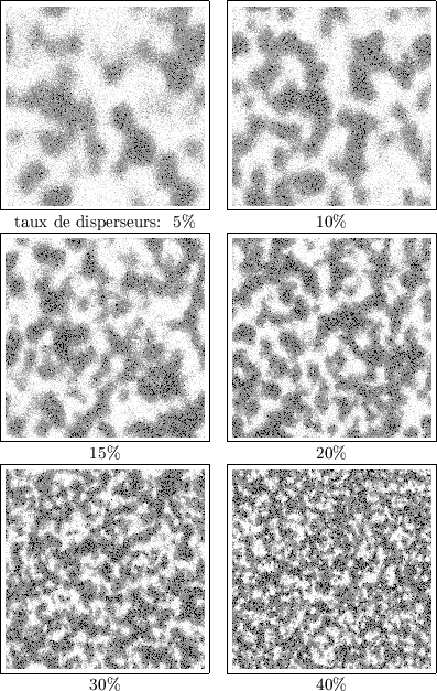 \begin{figure}
\centerline {
\begin{tabular}{cc}
\fbox{\epsfxsize=4.9cm \epsfbox...
...fxsize=4.9cm \epsfbox{schd40.eps}}\\
$30\%$\ & $40\%$\end{tabular}}\end{figure}